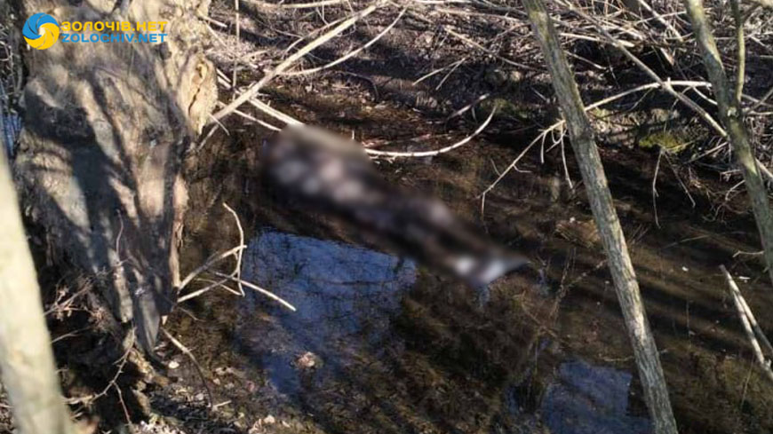 На Львівщині у водоймі знайшли тіло військового, який був на реабілітації