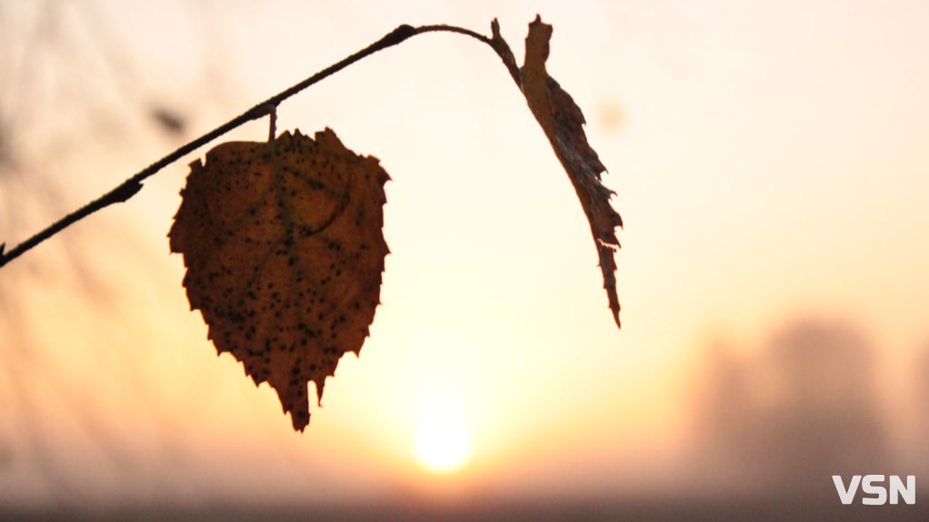 Дощі та поривчастий вітер: якою буде погода на Волині впродовж робочого тижня