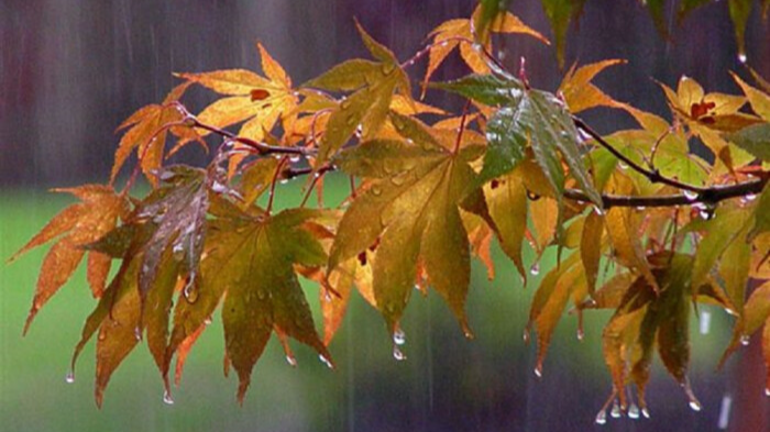 Штормовий вітер та дощі йдуть в Україну: в які області прийде негода