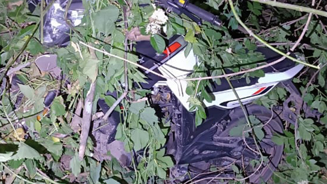 В'їхали у дерево: у страшній ДТП на Львівщині загинули два мотоциклісти