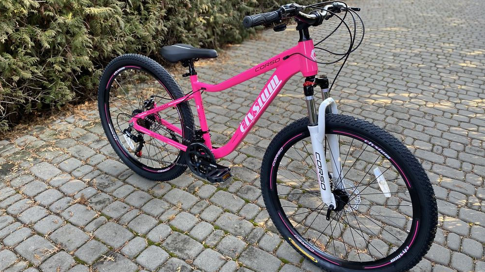 Лучанку засудили на 5 років увʼязнення за крадіжки велосипедів: що відомо