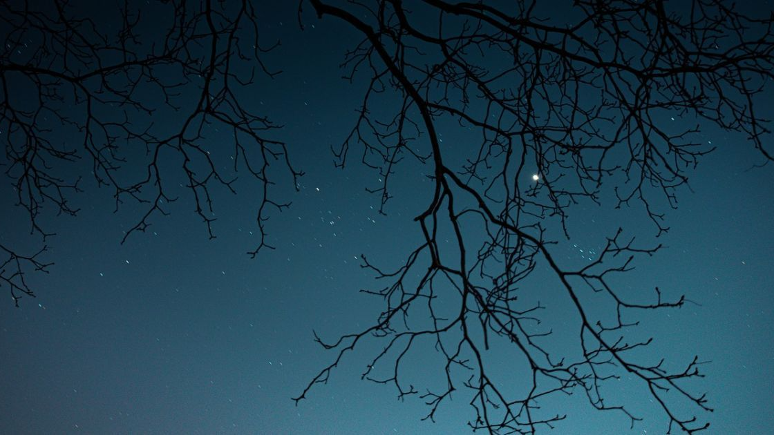 Гороскоп на 4 грудня: прорив у роботі Риб та багато інформації у Стрільців