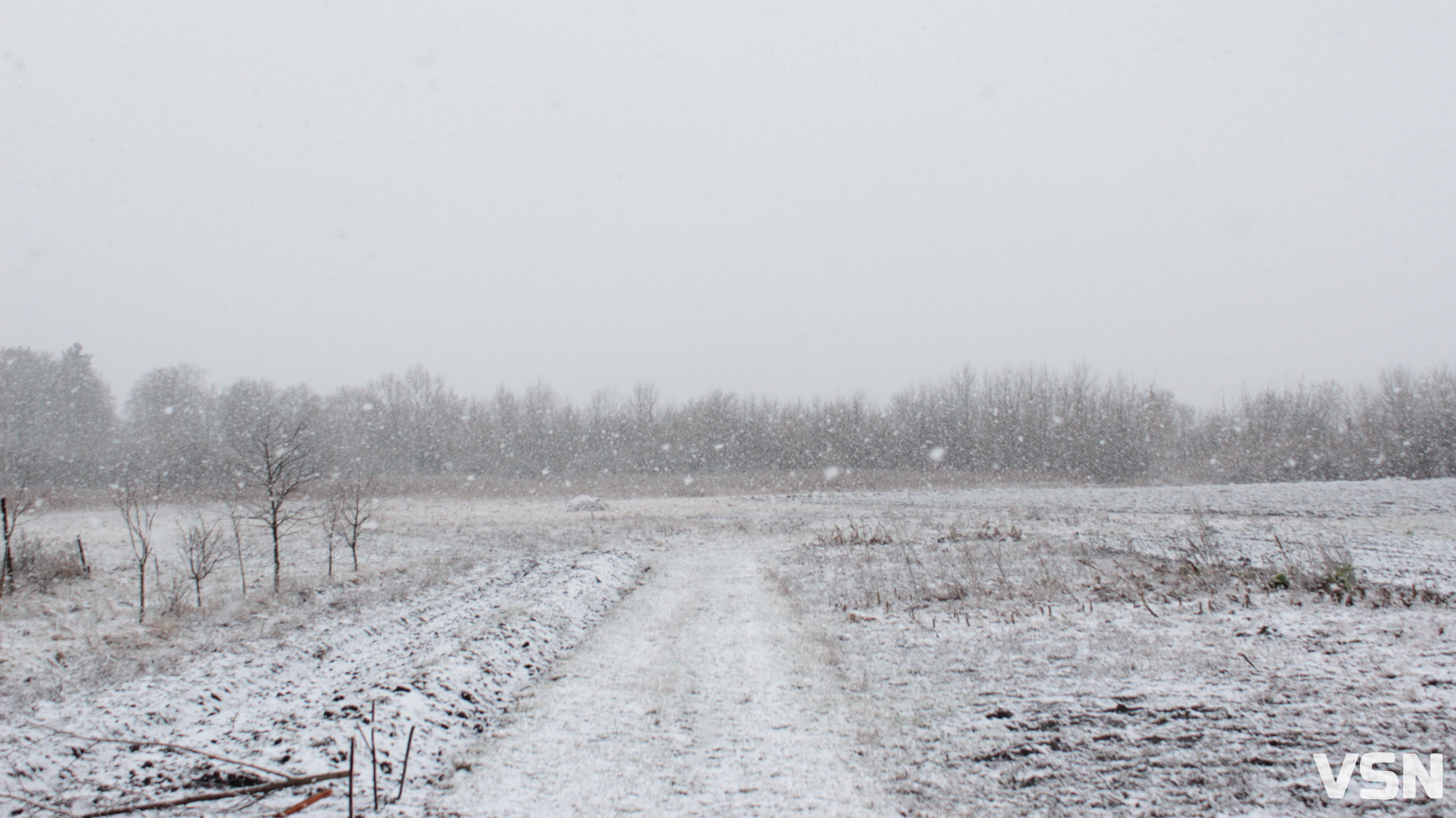 Хуртовини та штормовий вітер: прогноз погоди на 27 та 28 грудня на Волині