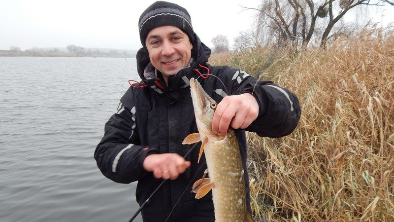 Як зловити щуку в кінці листопада – у грудні: найдієвіші поради від рибалок