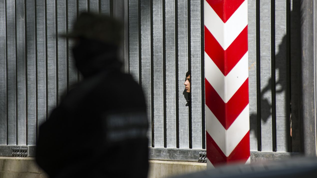 Польща зводить загорожу з колючим дротом на кордоні з Білоруссю: що відомо