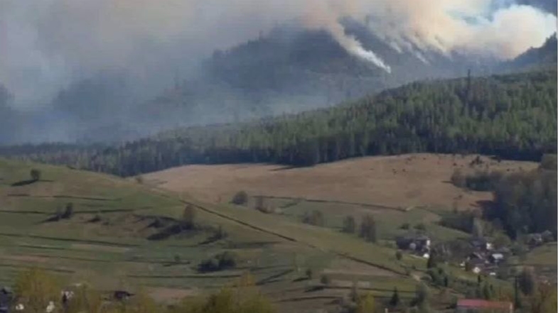 Горить ліс: у Карпатах вирує масштабна пожежа. Відео