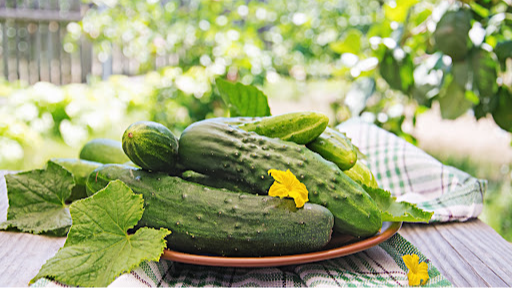 Не пропустіть момент: коли сіяти огірки, щоб отримати щедрий урожай