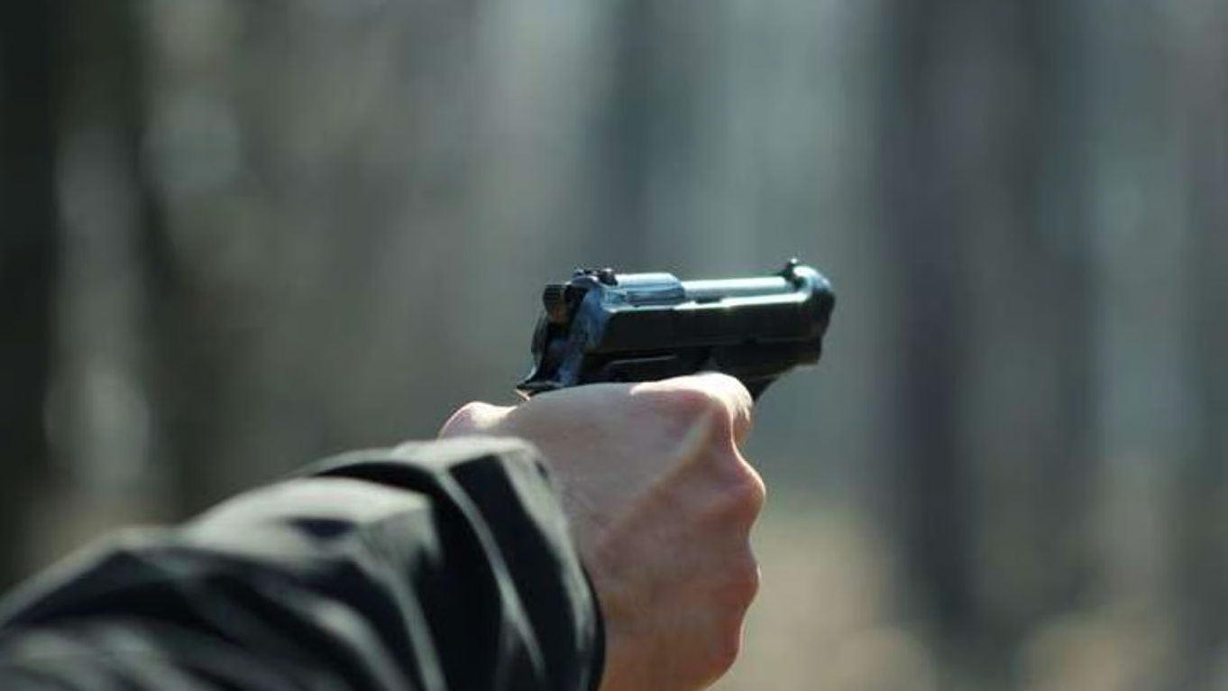 У центрі Луцька чоловік влаштував тир, стріляючи по мішках: як його покарали