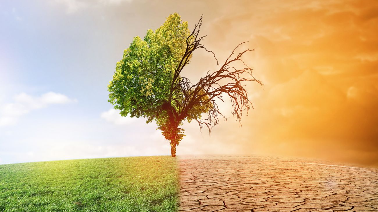 Чи буде спека до +30°: синоптики озвучили прогноз на літо 2026 в Україні