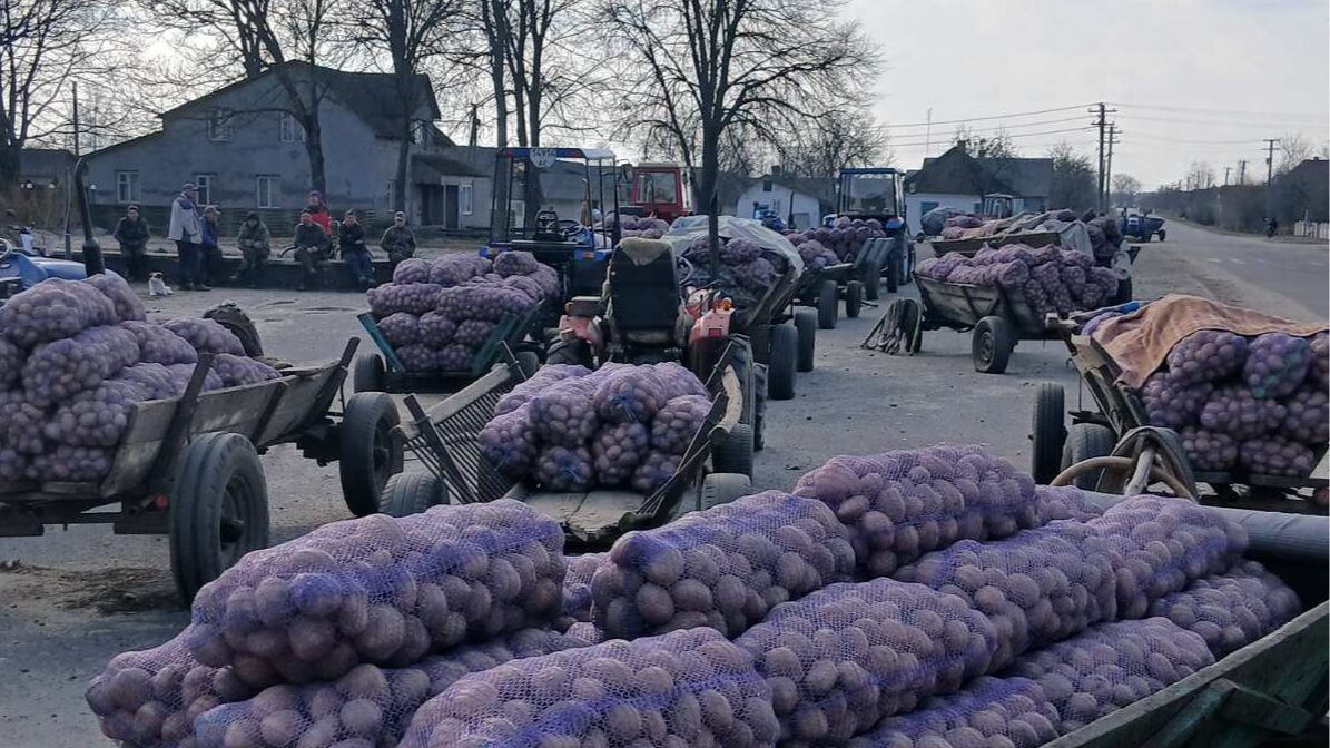 Праця за копійки: на Волині приймають картоплю по 3–4 гривні