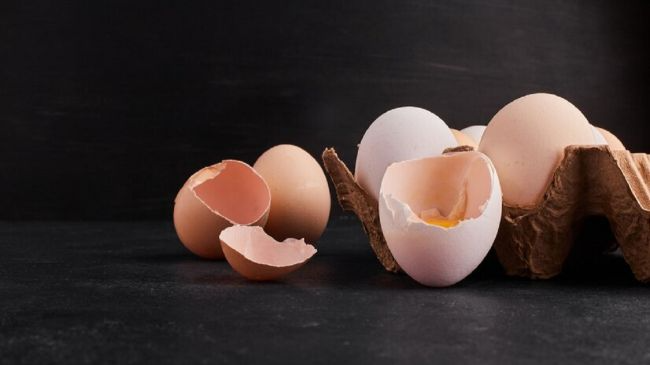 Секрет міцної розсади: навіщо дачники додають яєчну шкаралупу в ґрунт