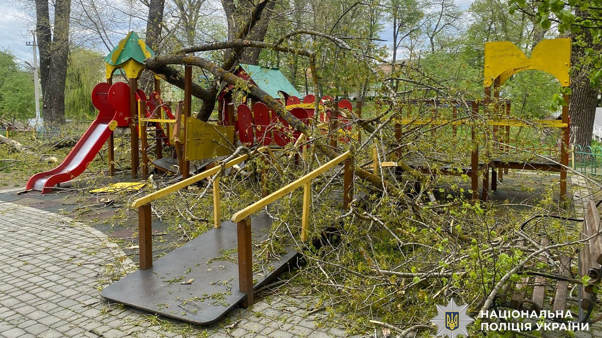 На Буковині через сильний вітер дерево впало на дитячий майданчик зі школярками