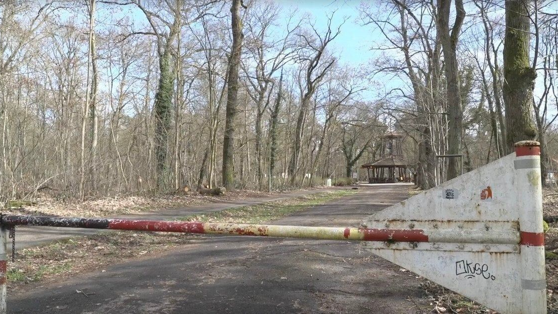 У Німеччині вбили 19-річну українку: що сталося