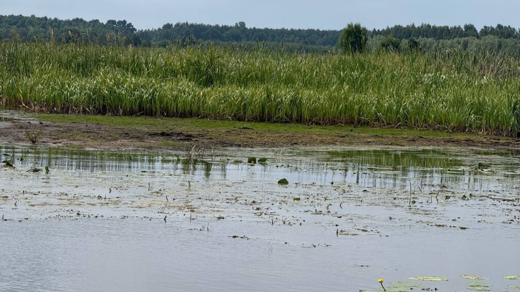 Вода зникає на очах: на Волині критично обміліли річки та криниці