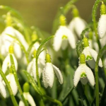 Якою буде погода на Волині у березні: синоптики дали прогноз