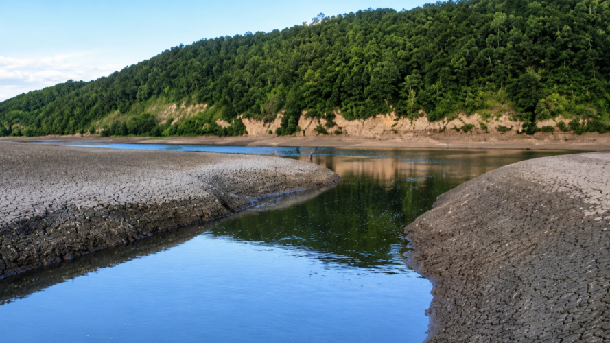 Річки Волині впали нижче історичних мінімумів: де вода досягла рекордних позначок