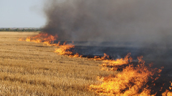 Через підпали трави у Луцькому районі загинули дві жінки