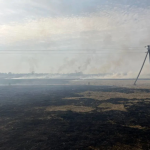 На Волині горить два гектари поля