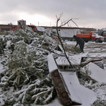 У Луцькій громаді збирають хвойні дерева після новорічних свят