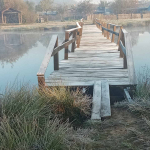 У громаді на Волині невідомі понищили пірс на водоймі для відпочинку