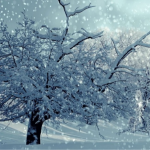 погода в Україні, Діденко