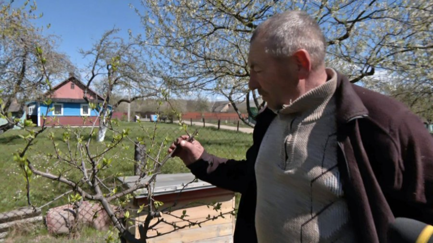 На Волині через заморозки загинув цвіт ранніх фруктових дерев