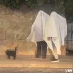 Геловін не відпускає: біля Луцької міськради помітили «привидів» із чорним котом