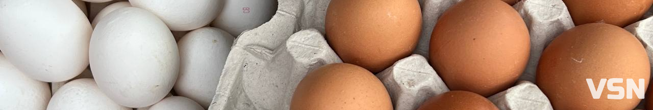 Ринок чи гіпермаркет: де вигідніше купувати продукти у Луцьку?