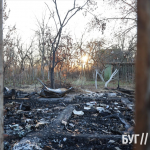 Підозрює підпал: у волинянки на дачному масиві згорів будиночок