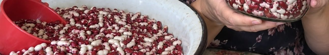 Квасоля буде свіжою і без жучків: як правильно зберігати запаси, щоб не завелися шкідники