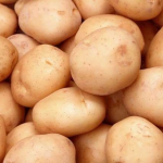 Найбільш врожайні сорти картоплі: з одного куща — декілька відер