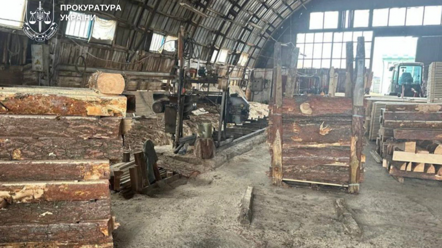 На Волині судитимуть злочинну організацію лісокрадів: збитки понад 6 млн грн