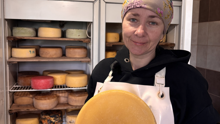 Із вчительки – у сироварки: як волинянка після навчання у Швейцарії створює авторські сири