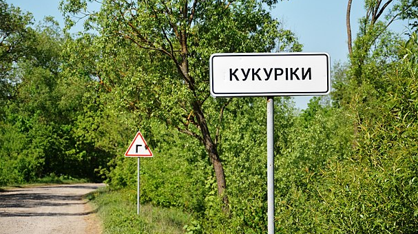 Кукуріки, Свинарин та Навіз: рейтинг найкумедніших назв сіл на Волині