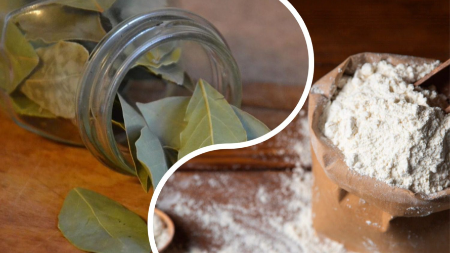 Навіщо класти лаврове листя в борошно та крупи