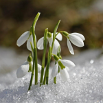 погода в україні