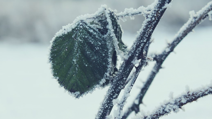 До України на Різдво йдуть морози та сніг: коли температура почне падати