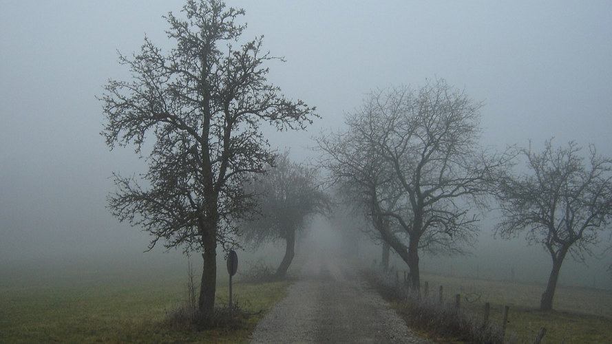 Українців на заході очікує небезпечний густий туман