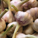 вирощування озимого часнику