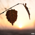 Дощі та поривчастий вітер: якою буде погода на Волині впродовж робочого тижня