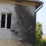 Передчувала небезпеку: у Луцьку кішка врятувала жінку від вибуху