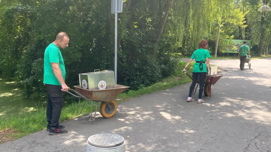 Луцькому зоопарку передали трьох єнотів: коли їх зможуть побачити відвідувачі