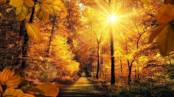 Осіннє тепло ще повернеться: коли Україну накриє «бабине літо»