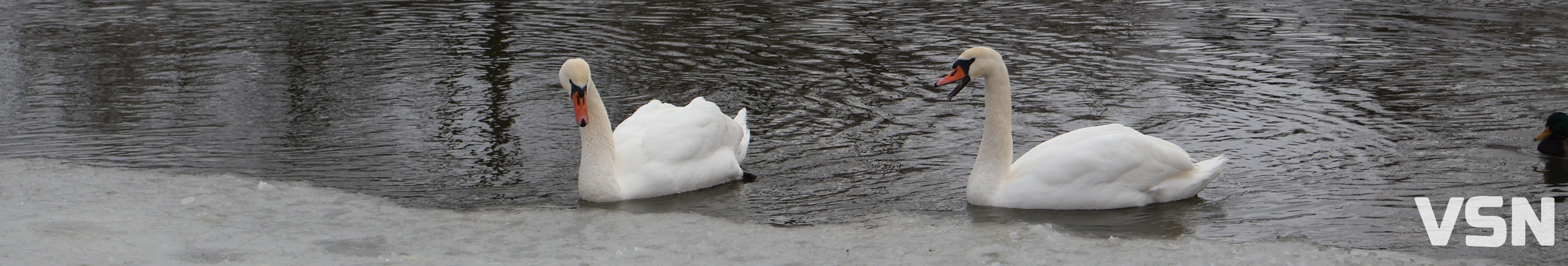 Які громади на Волині можуть опинитися під загрозою затоплення