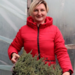 Мрія, що розквітла: родина з Волині вирощує тисячі саджанців для всієї України