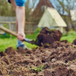 У які дні Вербного тижня категорично не можна працювати на городі