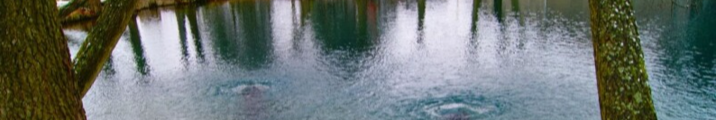 Що відбувається з «Оконськими джерелами»: волинська селищна рада оприлюднила роз’яснення