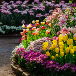 ТОП-8 квітів для саду, які практично не потребують догляду