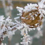 прогноз погоди в Україні