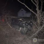ДТП у селищі на Волині: п'яний водій з’їхав у кювет і врізався в дерево, постраждала жінка